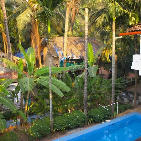 Neon Chameleon Hostel